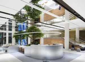Fit-out Ticari Ofis, Restoran Proje Taahhüt Firmaları